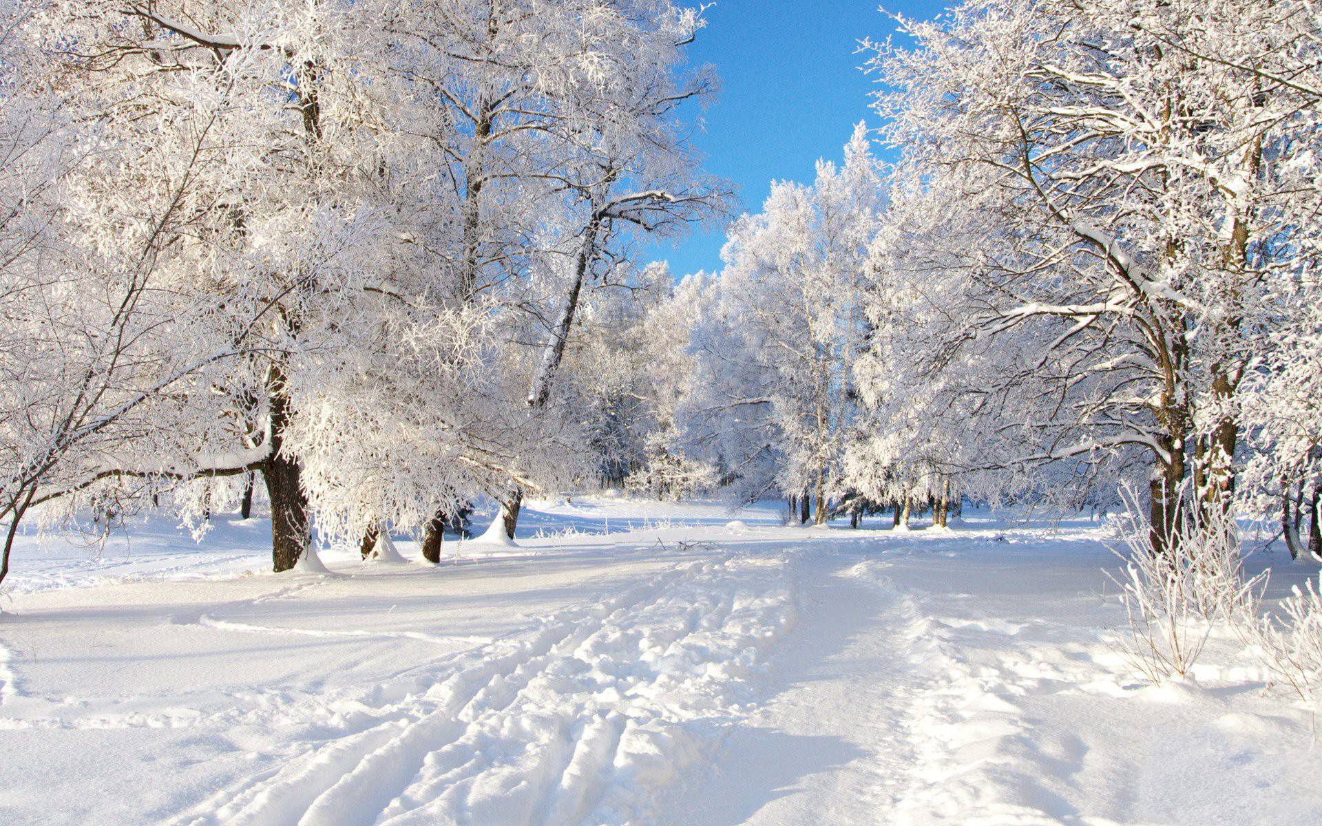 4645sgwv6Bc-winter-wallpaper-free.jpg